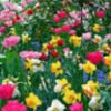 maddy_r5